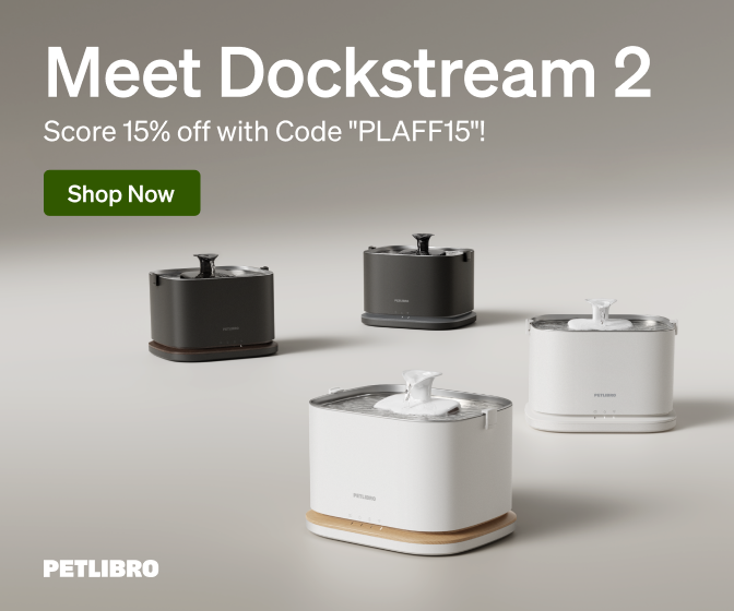 dockstream 2-Affiliate-336_280-V1 (1)